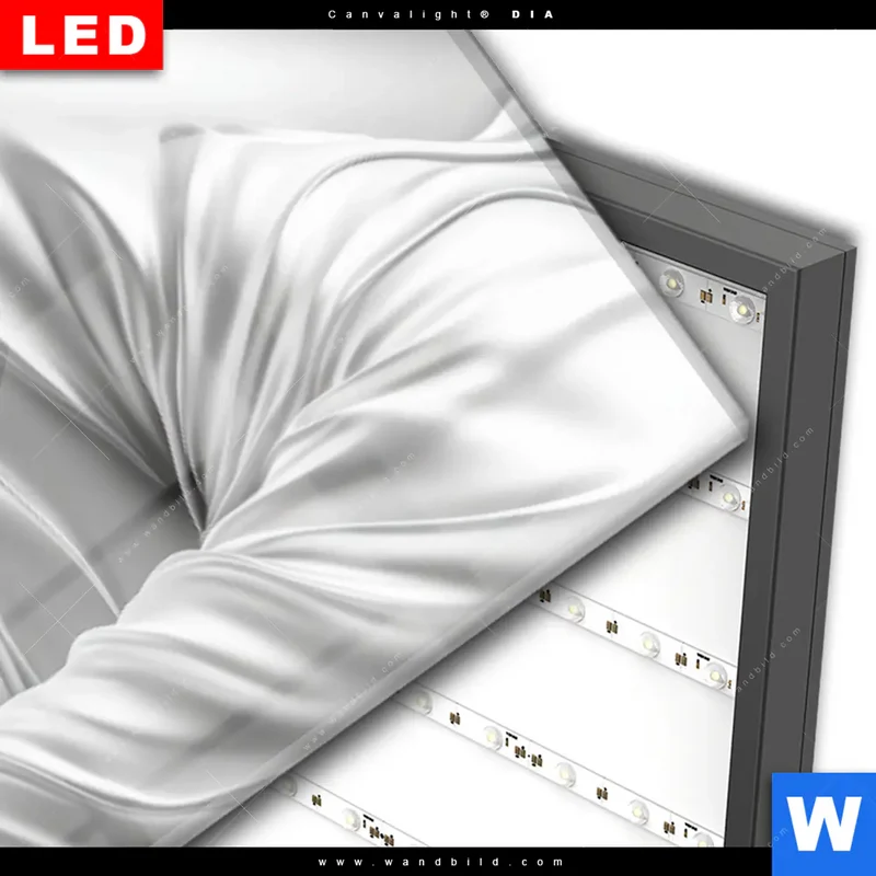 Wechselmotiv Acrylglas Canvalight® DIA | Buddha - Stille des Erwachens | Panorama