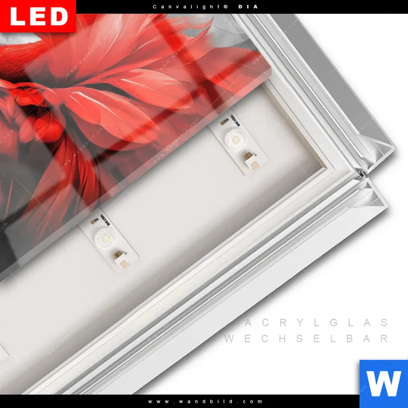Leuchtbild Acrylglas Canvalight® DIA | Roter Flamingo | Quadrat