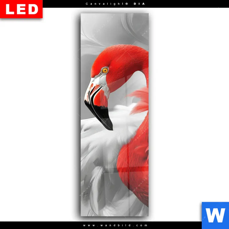 Wechselmotiv Acrylglas Canvalight® DIA | Roter Flamingo | Schmal