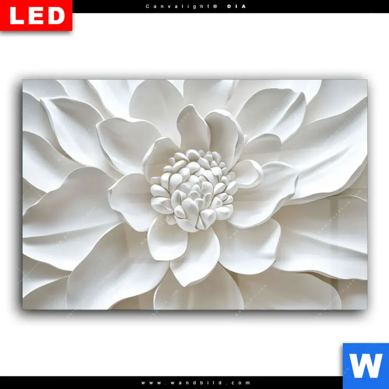 Wechselmotiv Acrylglas Canvalight® DIA | Weiße Blüte | Querformat