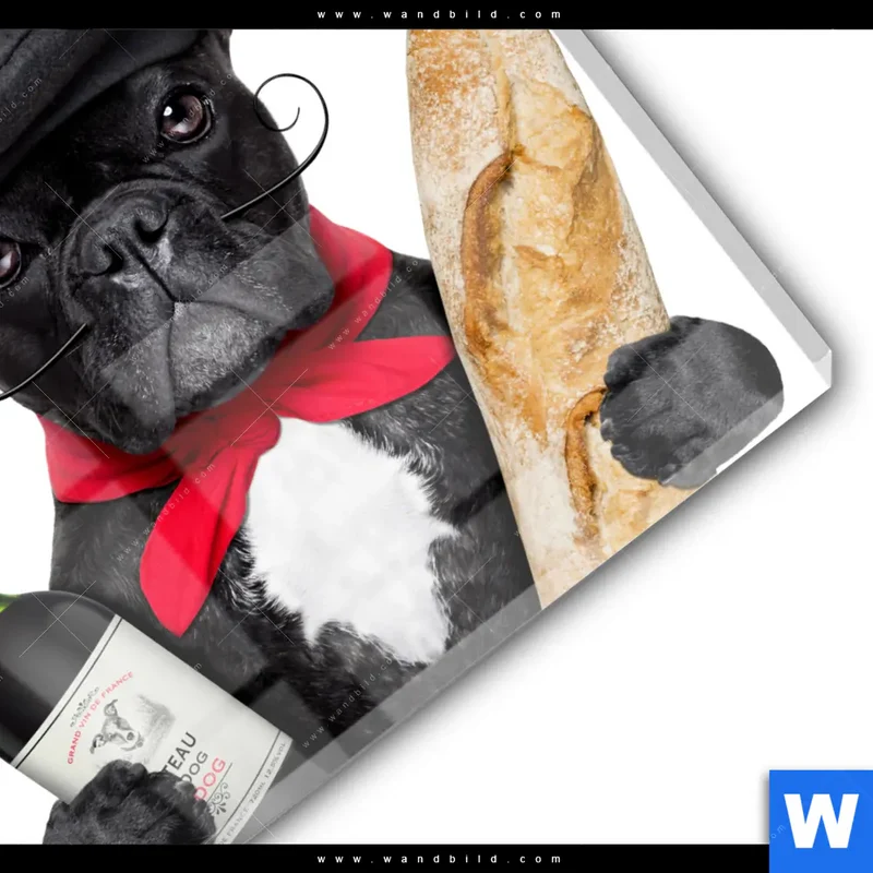 Acrylglasbild | Französischer Bulldoggen-Charme mit Baguette & Wein | Quadrat