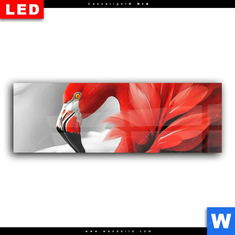 Wechselmotiv Acrylglas Canvalight® DIA | Roter Flamingo | Panorama
