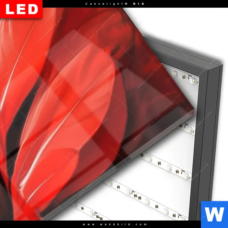 Wechselmotiv Acrylglas Canvalight® DIA | Roter Flamingo | Panorama
