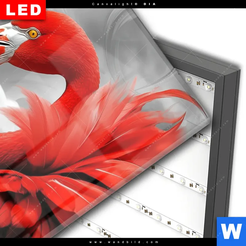 Wechselmotiv Acrylglas Canvalight® DIA | Roter Flamingo | Hochformat