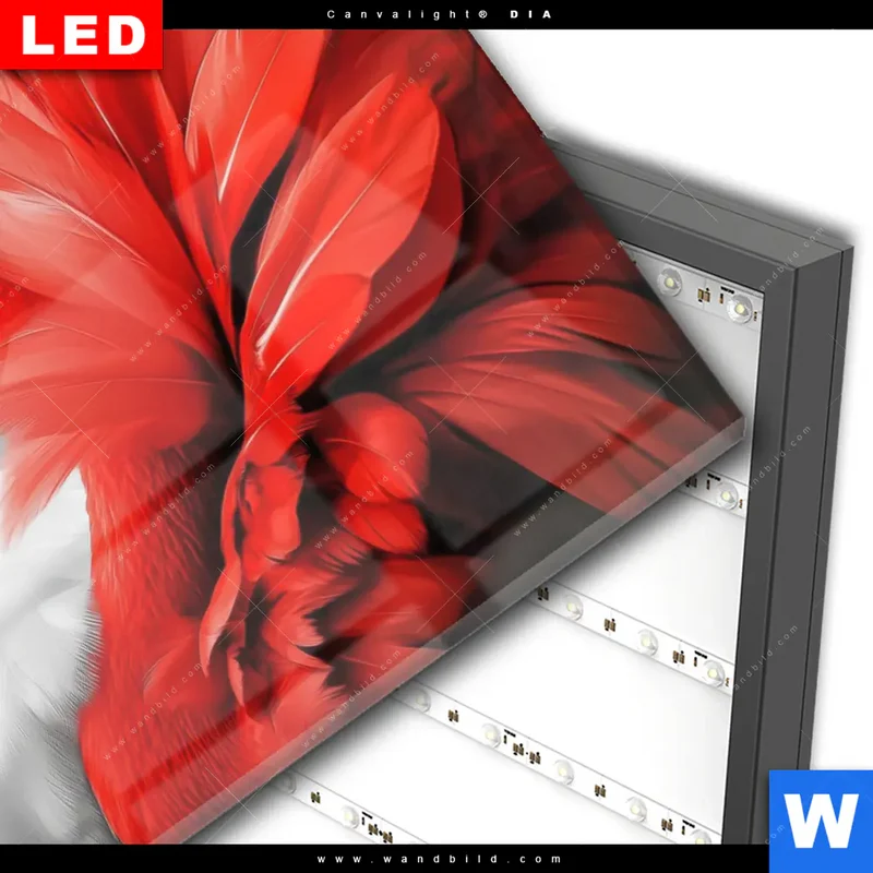 Wechselmotiv Acrylglas Canvalight® DIA | Roter Flamingo | Querformat