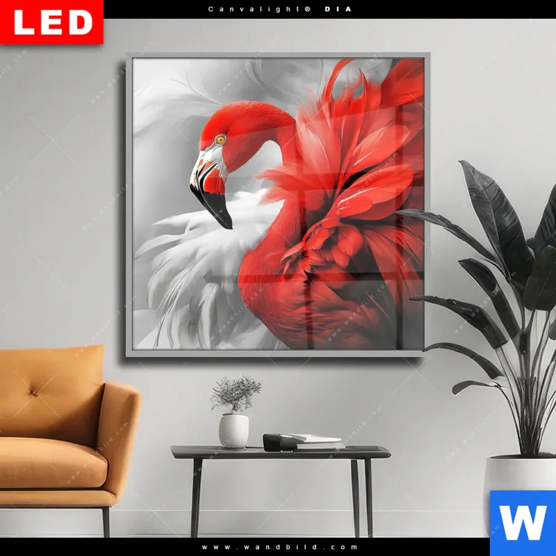 Wechselmotiv Acrylglas Canvalight® DIA | Roter Flamingo | Quadrat