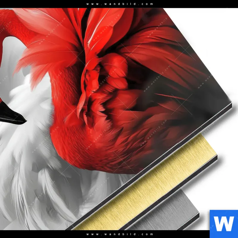 Aluminiumbild gebürstet | Roter Flamingo | Rund