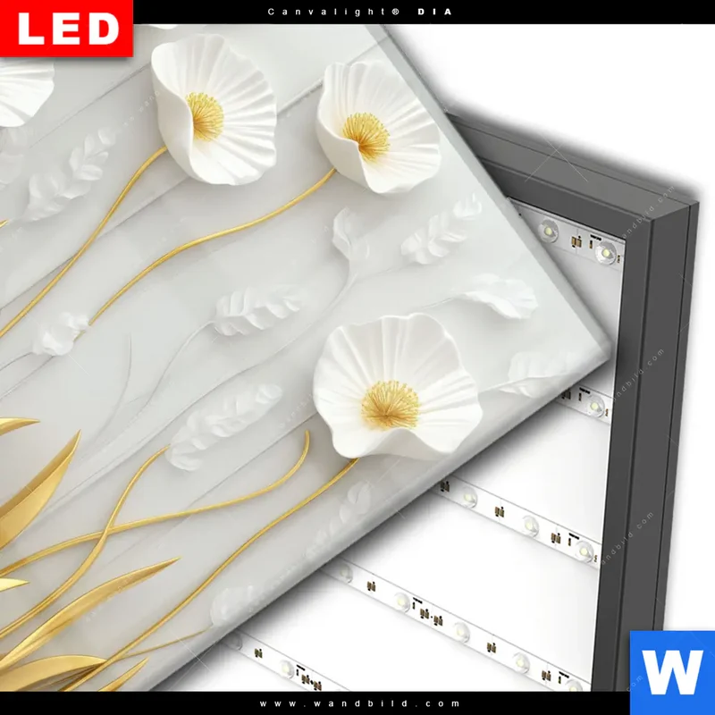 Wechselmotiv Acrylglas Canvalight® DIA | Florale Leichtigkeit mit Goldglanz | Quadrat