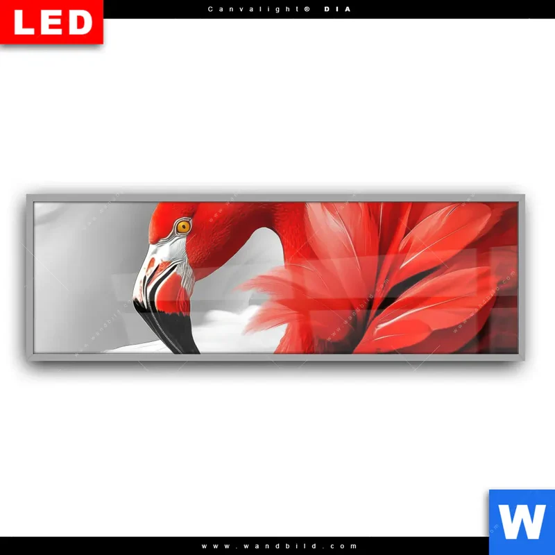 Leuchtbild Acrylglas Canvalight® DIA | Roter Flamingo | Panorama