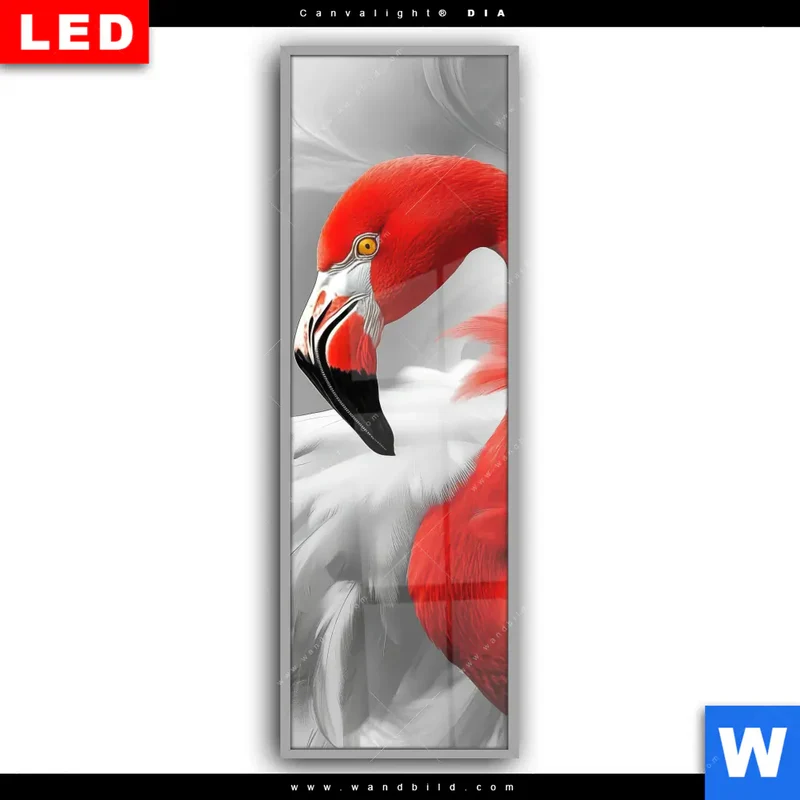 Leuchtbild Acrylglas Canvalight® DIA | Roter Flamingo | Schmal