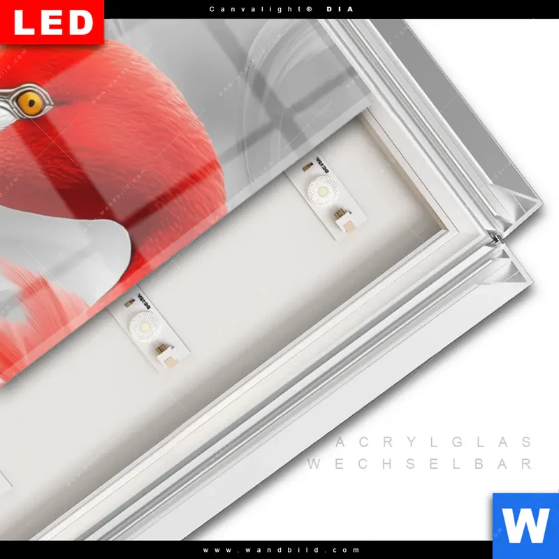 Leuchtbild Acrylglas Canvalight® DIA | Roter Flamingo | Schmal