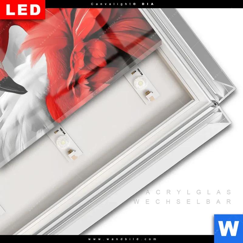 Leuchtbild Acrylglas Canvalight® DIA | Roter Flamingo | Querformat