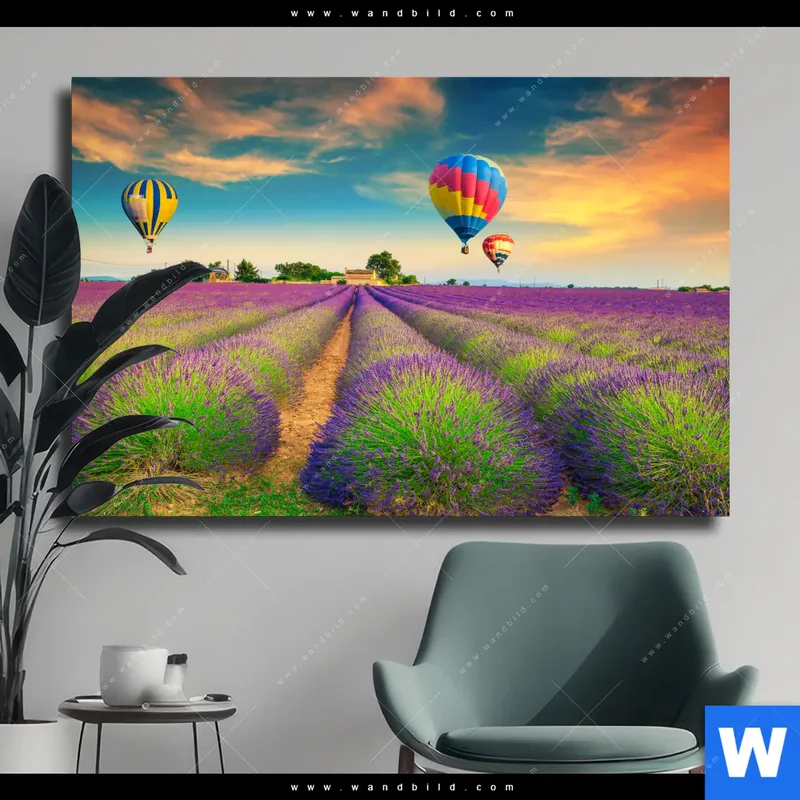 Leinwandbild | Heißluftballons über violetten Feldern | Querformat