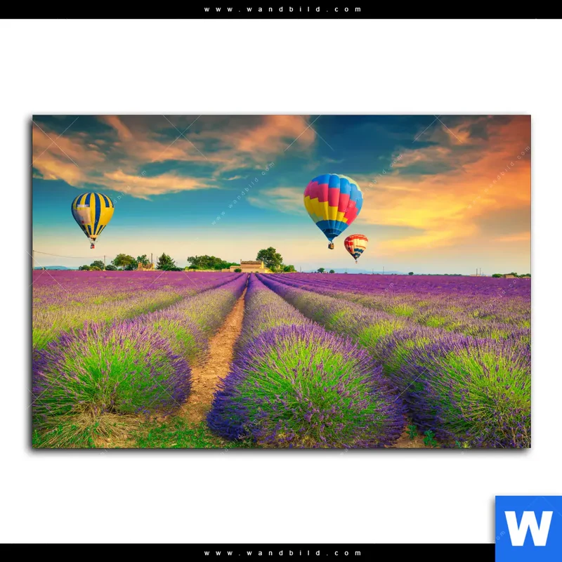 Leinwandbild | Heißluftballons über violetten Feldern | Querformat