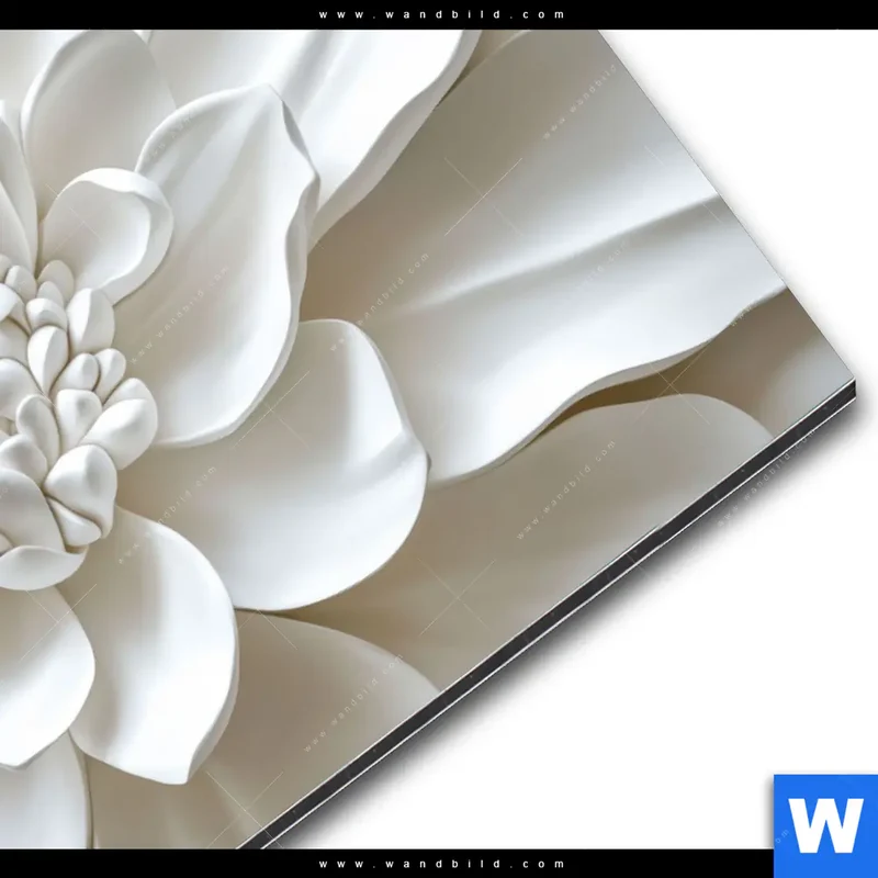 Alu-Dibond Bild | Weiße Blüte | Hochformat