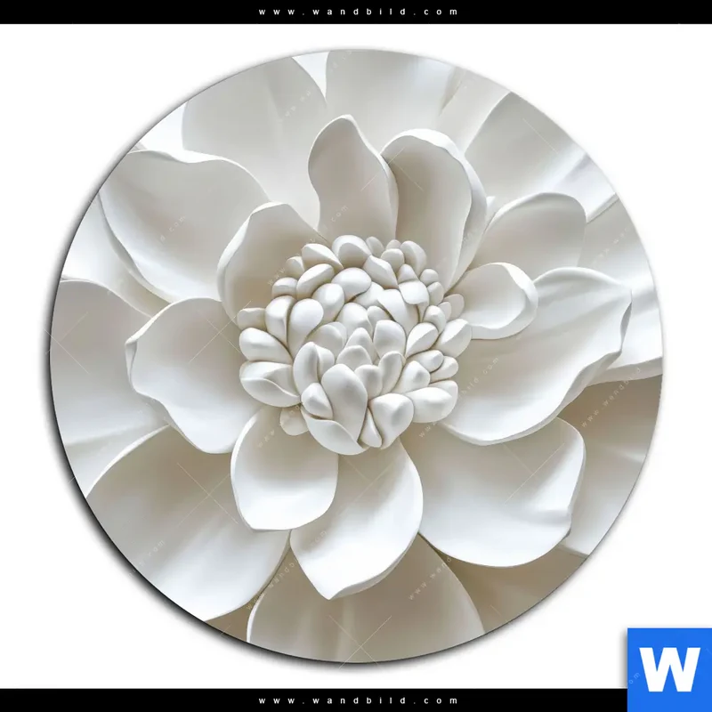Alu-Dibond Bild | Weiße Blüte | Rund