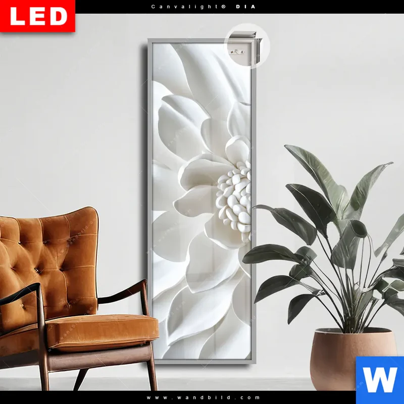 Leuchtbild Acrylglas Canvalight® DIA | Weiße Blüte | Schmal