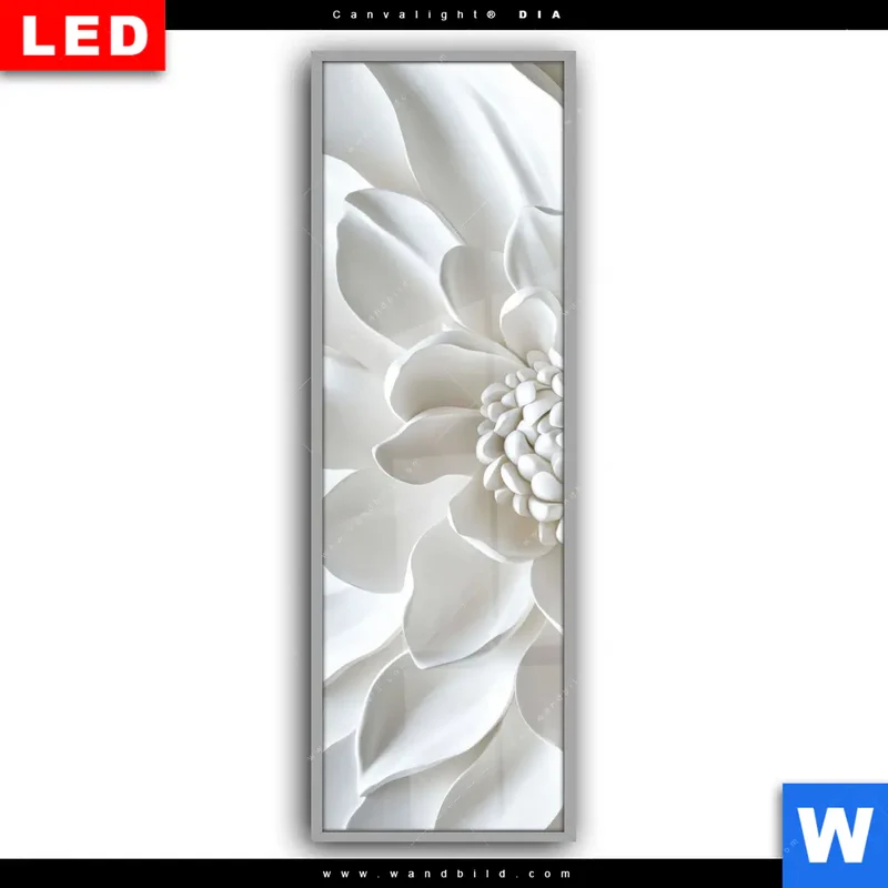 Leuchtbild Acrylglas Canvalight® DIA | Weiße Blüte | Schmal