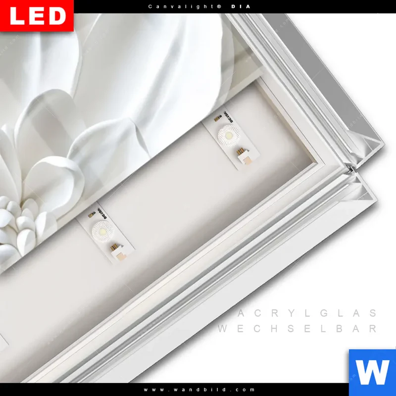Leuchtbild Acrylglas Canvalight® DIA | Weiße Blüte | Schmal
