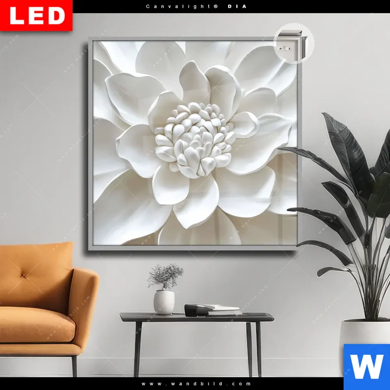 Leuchtbild Acrylglas Canvalight® DIA | Weiße Blüte | Quadrat