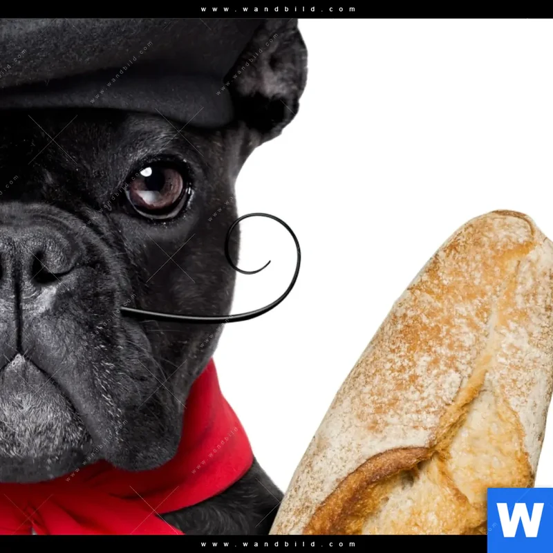 Canvalight® Leuchtbild | Französischer Bulldoggen-Charme mit Baguette & Wein | Querformat