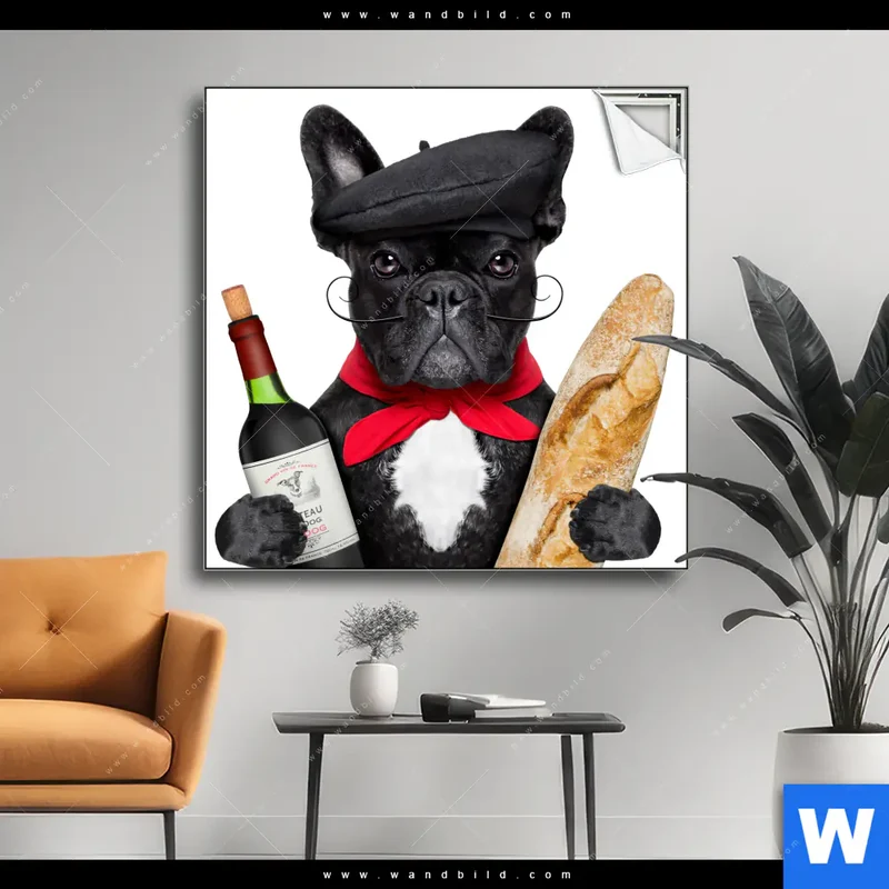 Spannbild | Französischer Bulldoggen-Charme mit Baguette & Wein | Quadrat