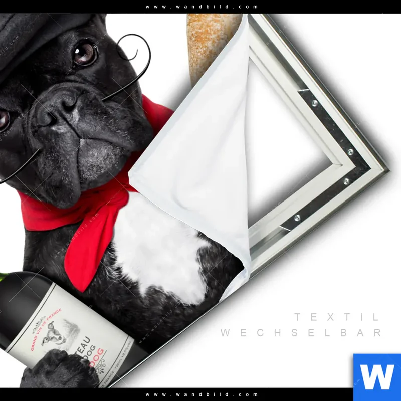 Spannbild | Französischer Bulldoggen-Charme mit Baguette & Wein | Quadrat