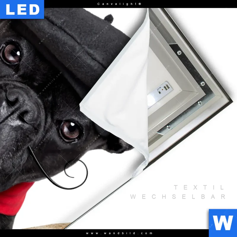 Canvalight® Leuchtbild | Französischer Bulldoggen-Charme mit Baguette & Wein | Hochformat