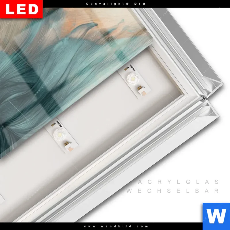 Leuchtbild Acrylglas Canvalight® DIA | Verhüllte Schönheit | Schmal