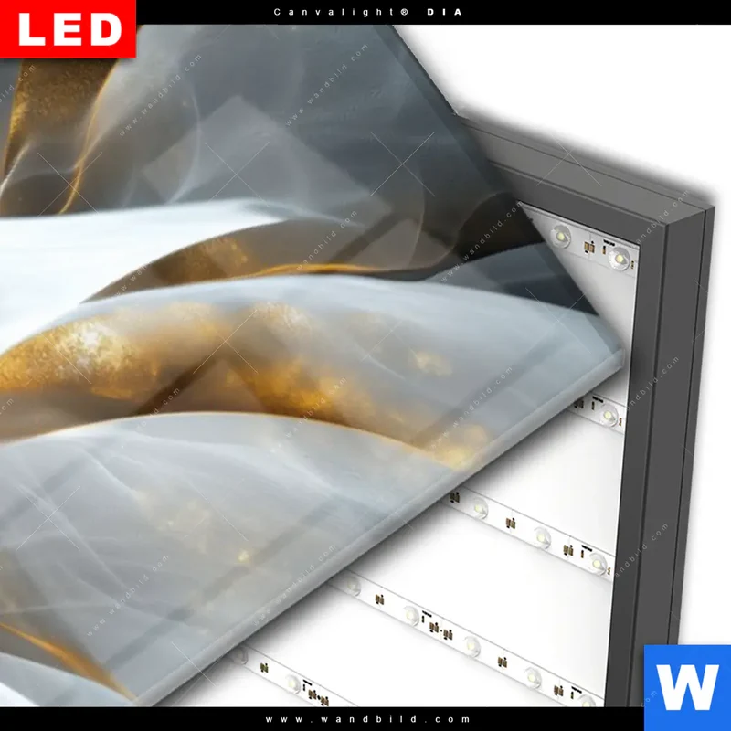 Wechselmotiv Acrylglas Canvalight® DIA | Zarte Luxusblüte | Schmal
