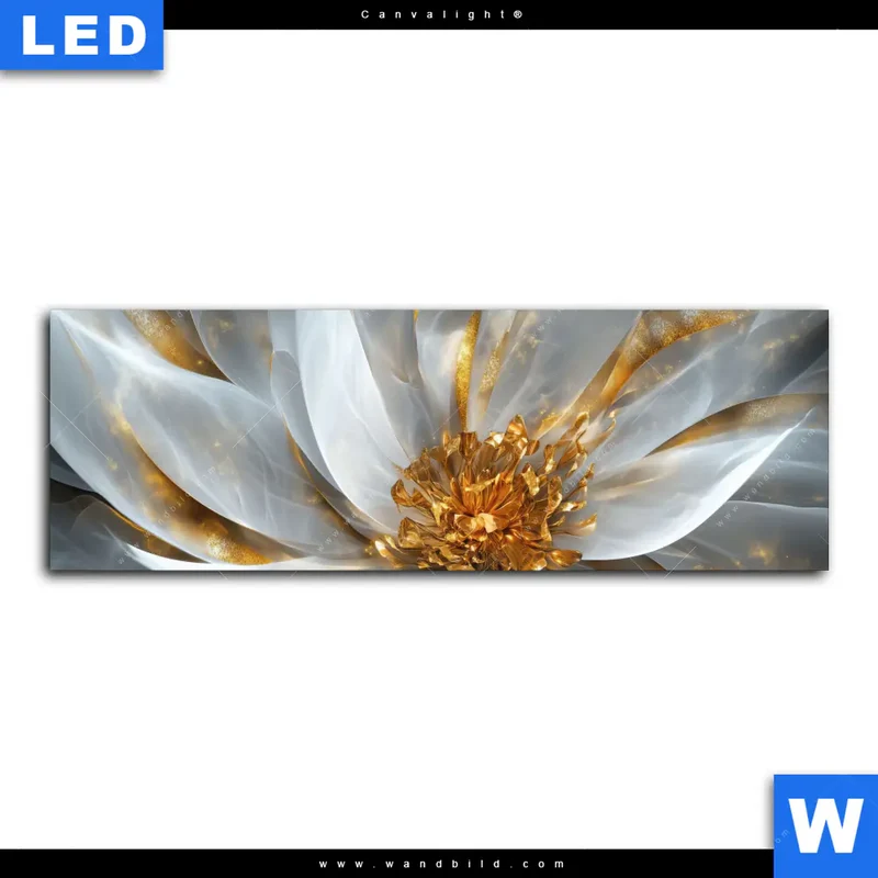 Canvalight® Leuchtbild | Zarte Luxusblüte | Panorama
