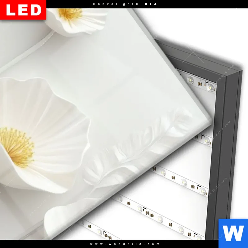 Wechselmotiv Acrylglas Canvalight® DIA | Florale Leichtigkeit mit Goldglanz | Schmal