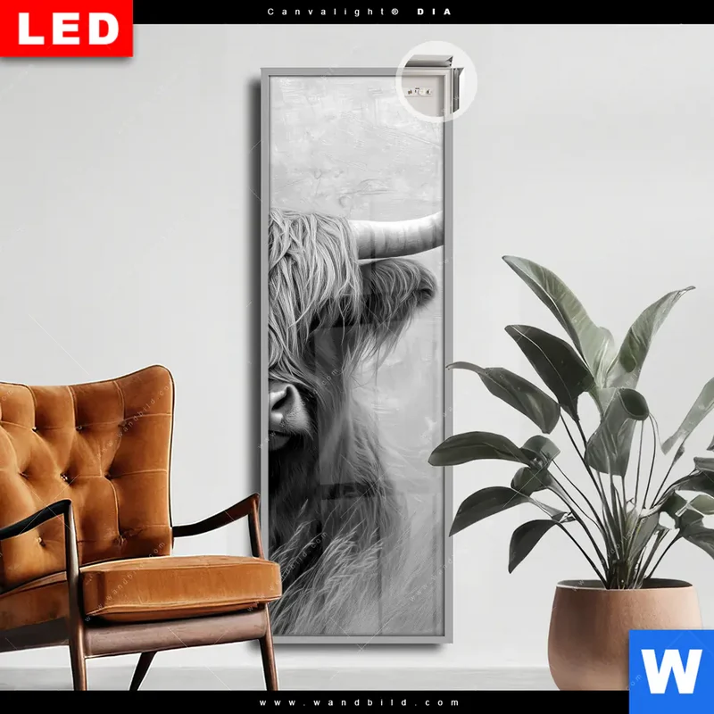 Leuchtbild Acrylglas Canvalight® DIA | Hochlandrind - Majestätische Hörner | Schmal