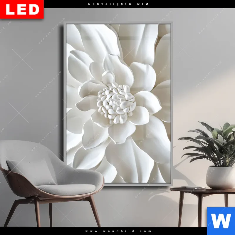 Wechselmotiv Acrylglas Canvalight® DIA | Weiße Blüte | Hochformat