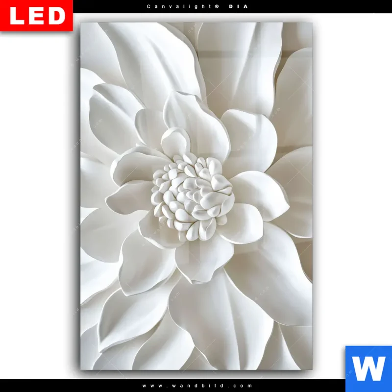 Wechselmotiv Acrylglas Canvalight® DIA | Weiße Blüte | Hochformat
