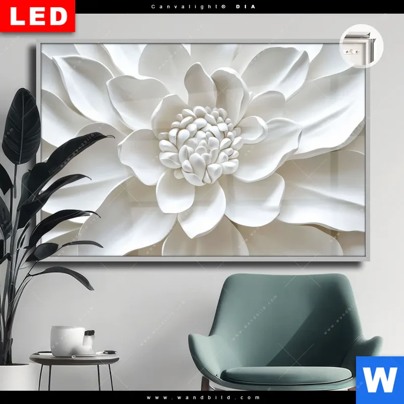 Leuchtbild Acrylglas Canvalight® DIA | Weiße Blüte | Querformat