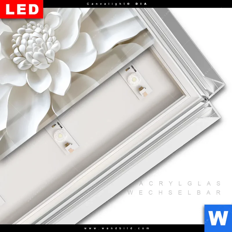 Leuchtbild Acrylglas Canvalight® DIA | Weiße Blüte | Querformat