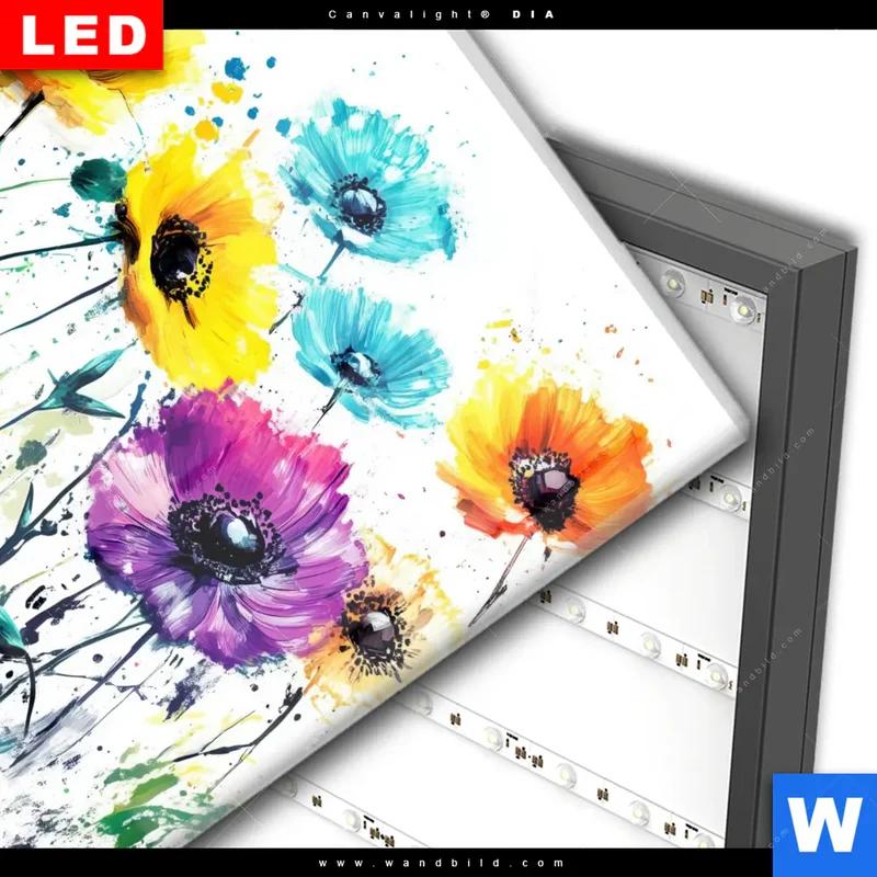 Wechselmotiv Acrylglas Canvalight® DIA | Bunte Blütenexplosion | Quadrat