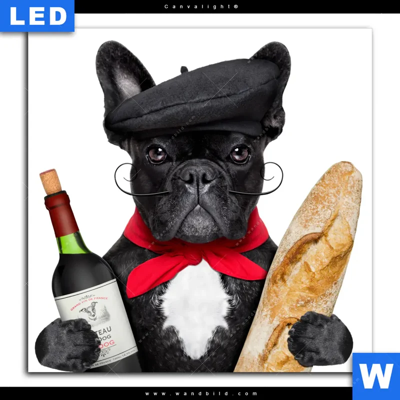 Canvalight® Leuchtbild | Französischer Bulldoggen-Charme mit Baguette & Wein | Quadrat