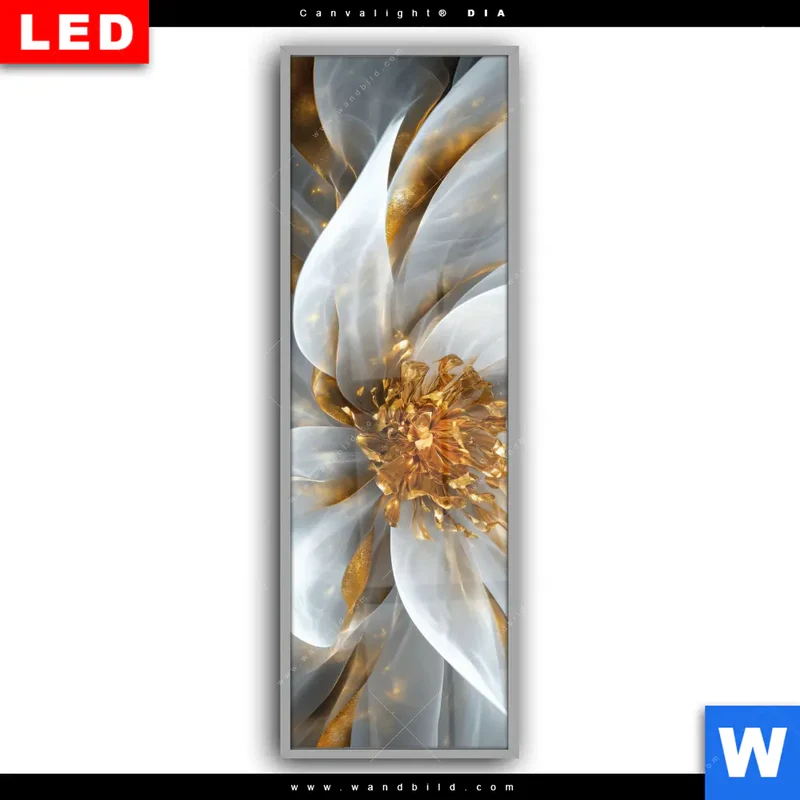 Leuchtbild Acrylglas Canvalight® DIA | Zarte Luxusblüte | Schmal