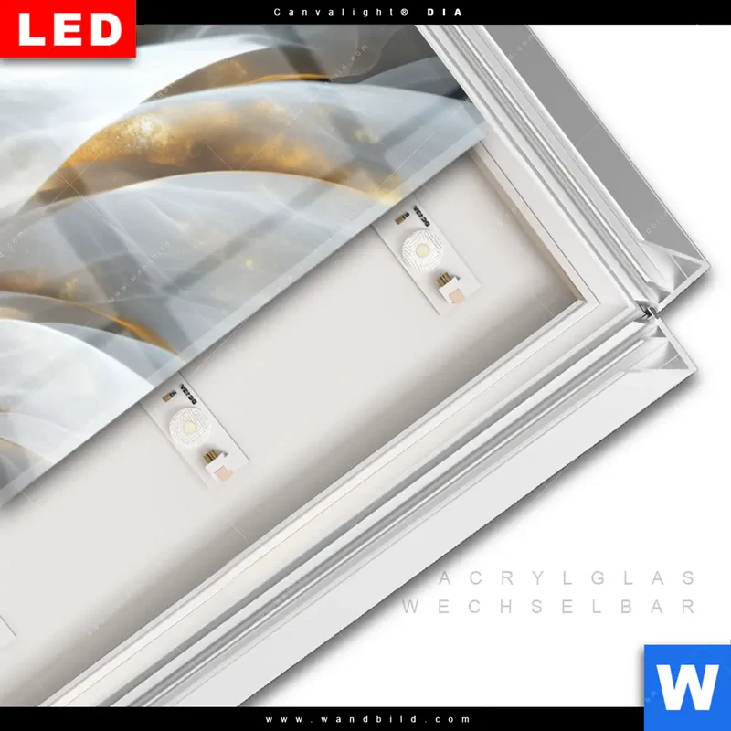 Leuchtbild Acrylglas Canvalight® DIA | Zarte Luxusblüte | Schmal