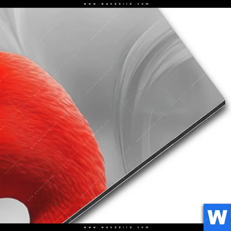 Alu-Dibond Bild | Roter Flamingo | Schmal