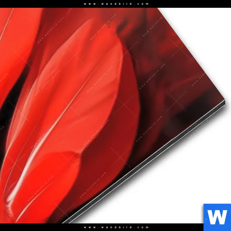 Alu-Dibond Bild | Roter Flamingo | Panorama