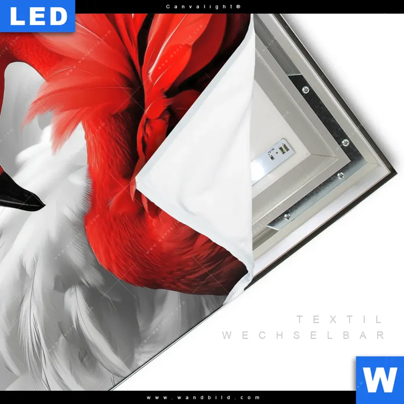 Canvalight® Leuchtbild | Roter Flamingo | Quadrat