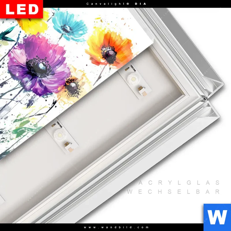 Leuchtbild Acrylglas Canvalight® DIA | Bunte Blütenexplosion | Quadrat