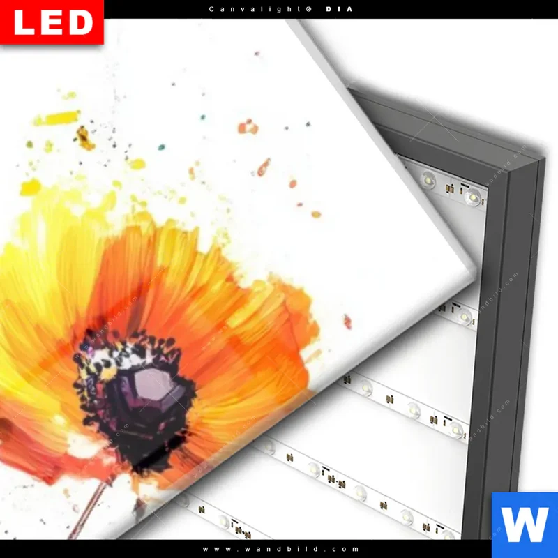 Wechselmotiv Acrylglas Canvalight® DIA | Bunte Blütenexplosion | Schmal