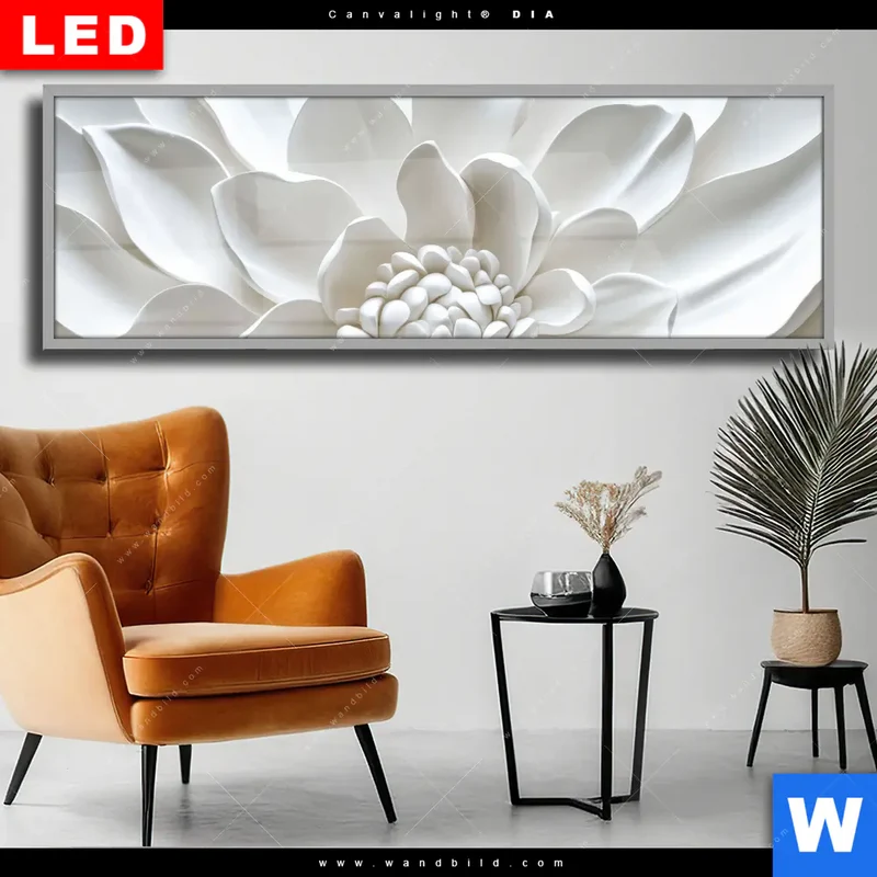 Wechselmotiv Acrylglas Canvalight® DIA | Weiße Blüte | Panorama