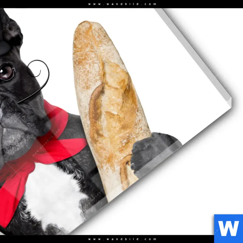 Acrylglasbild | Französischer Bulldoggen-Charme mit Baguette & Wein | Querformat
