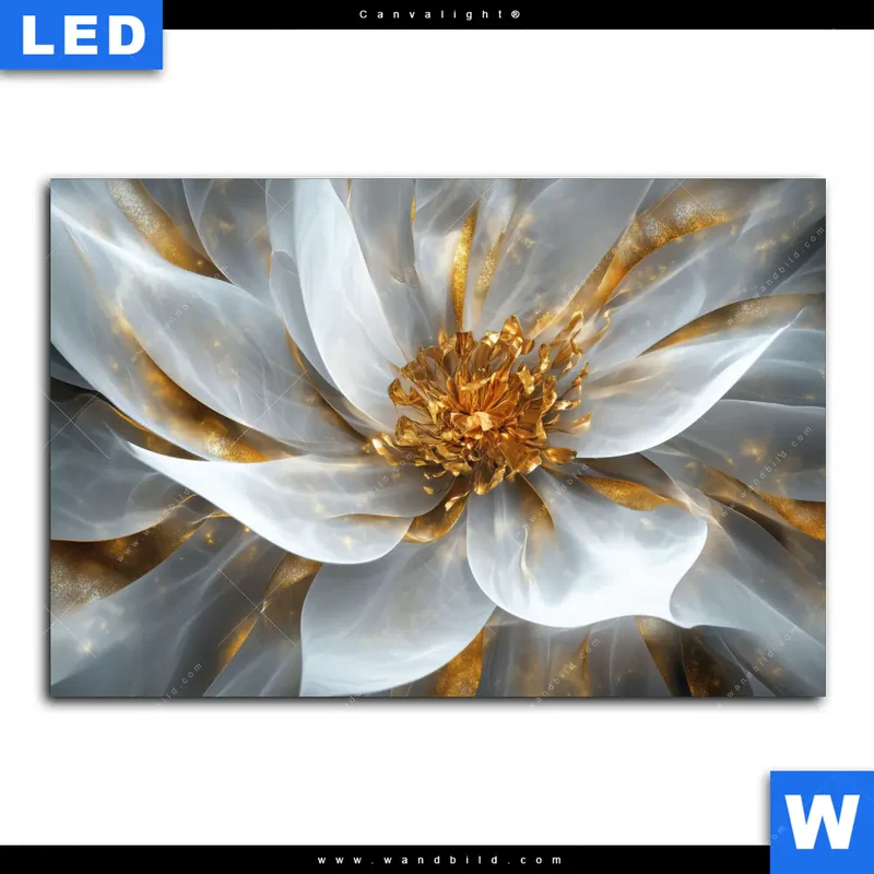 Canvalight® Leuchtbild | Zarte Luxusblüte | Querformat
