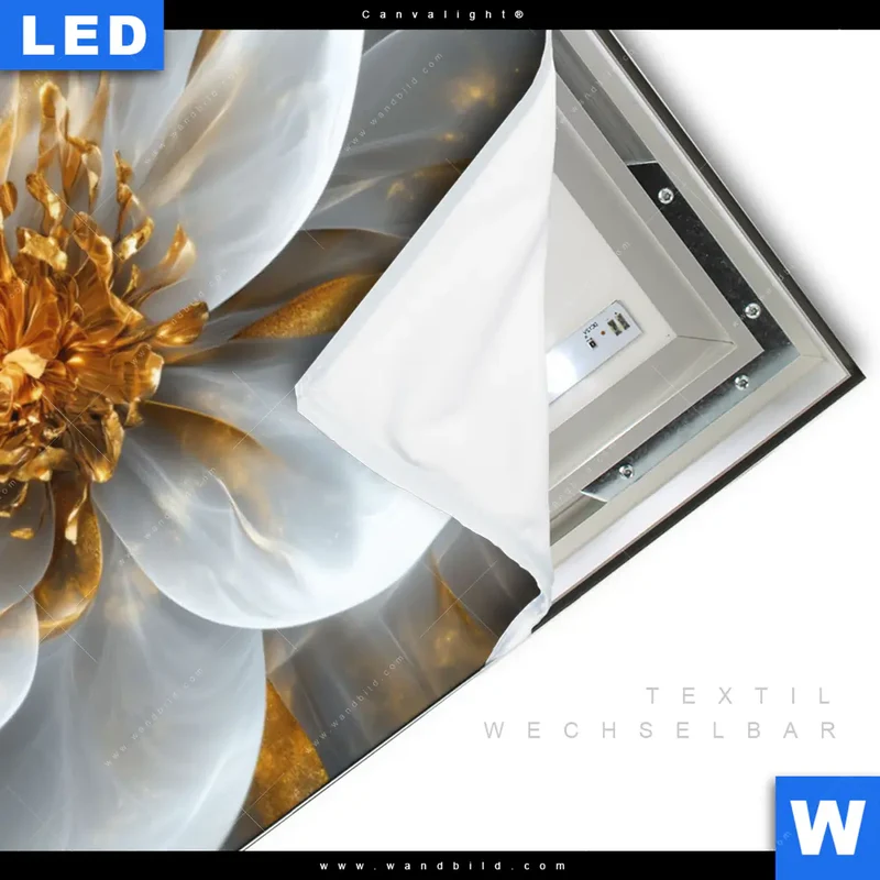 Canvalight® Leuchtbild | Zarte Luxusblüte | Querformat